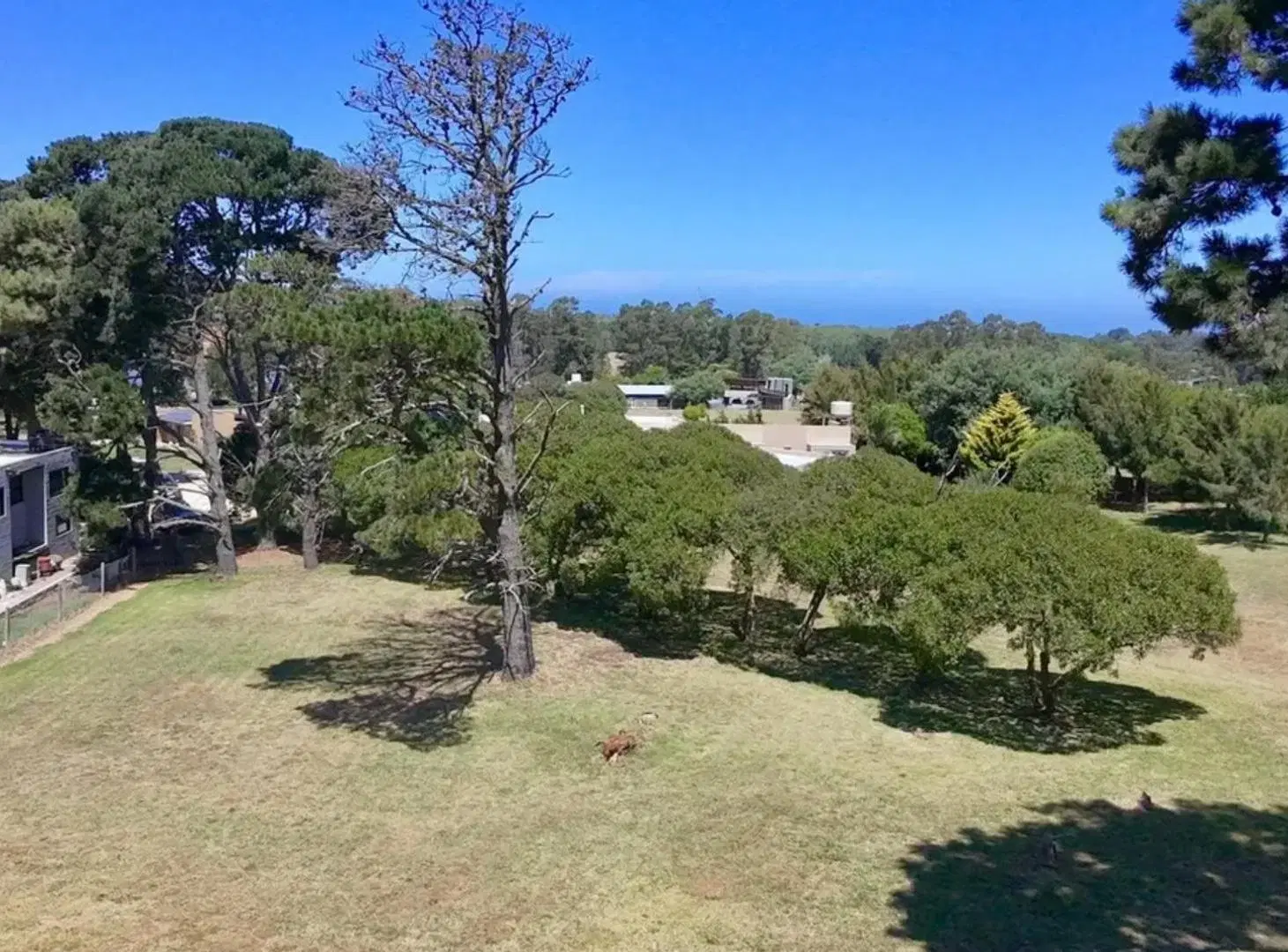 El mejor Lote de Barrancas de San Benito Chapadmala en Venta 5