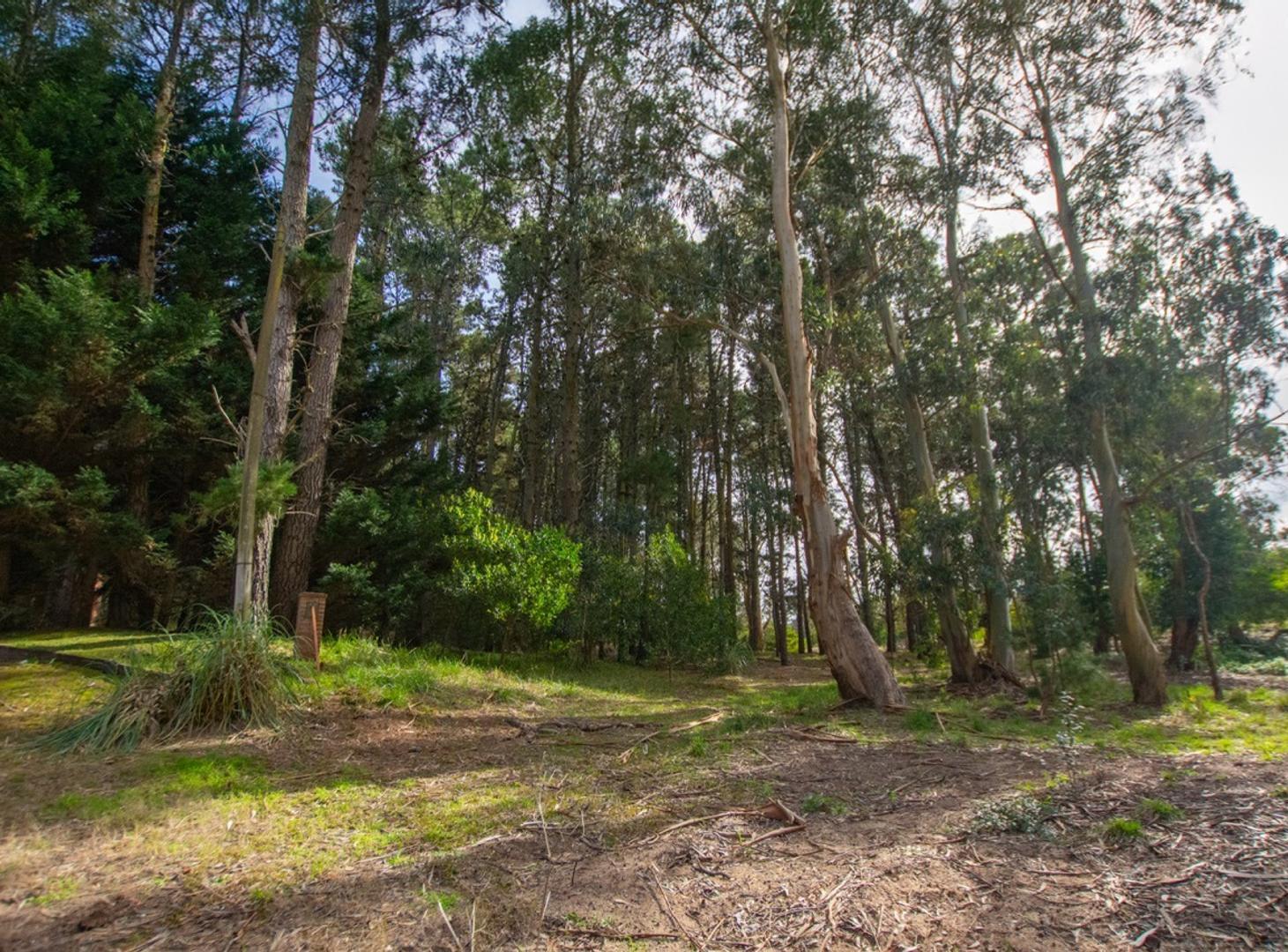 Foto de Terreno venta Mar de las Pampas doble acceso, imagen 1