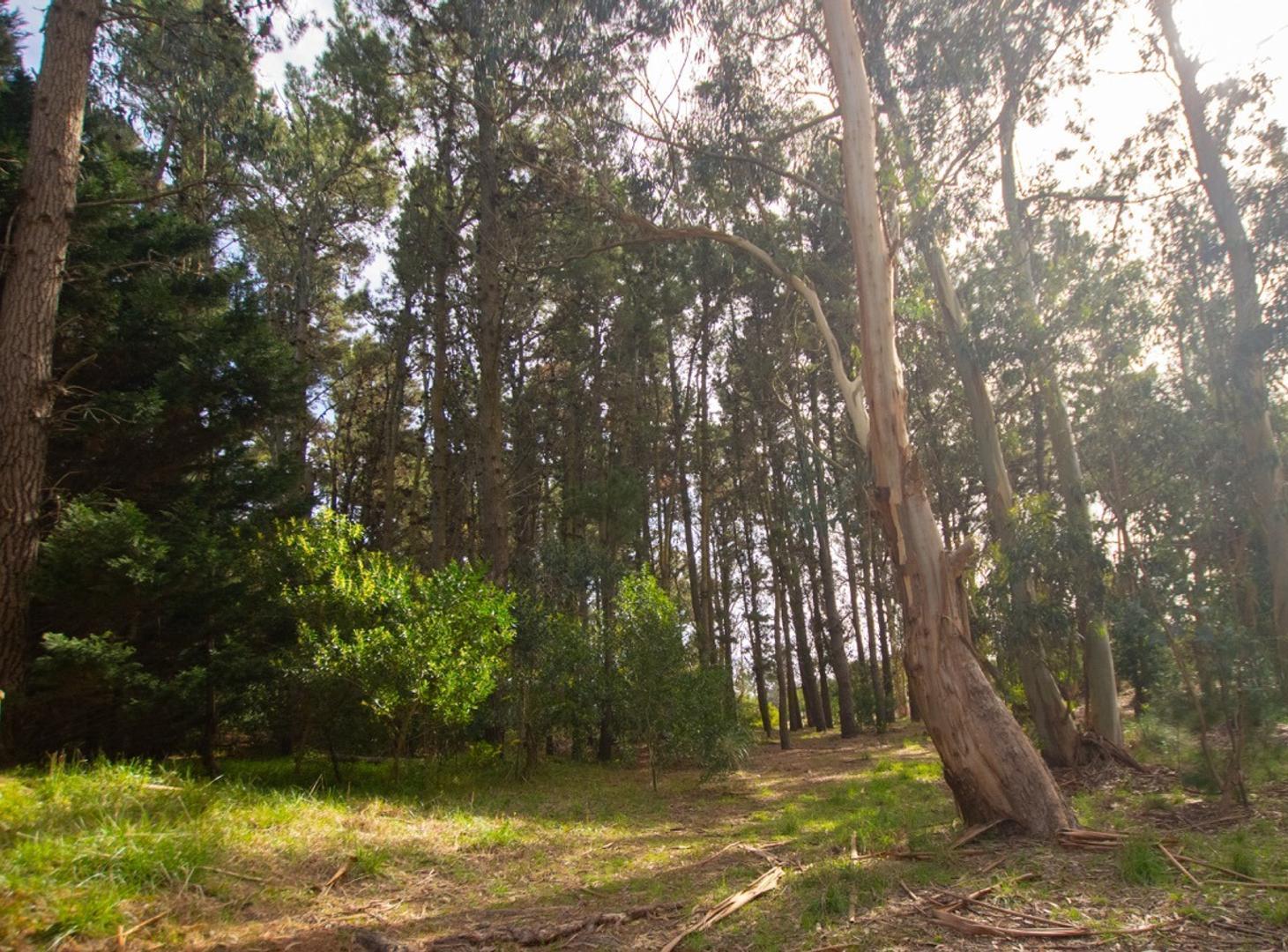 Foto de Terreno venta Mar de las Pampas doble acceso, imagen 5