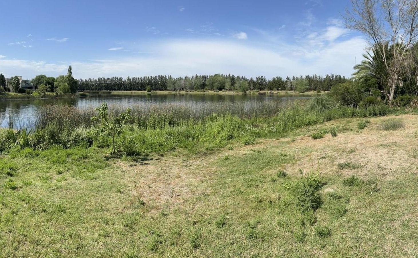 Foto de Lote en venta Santa Catalina a la laguna, imagen 2