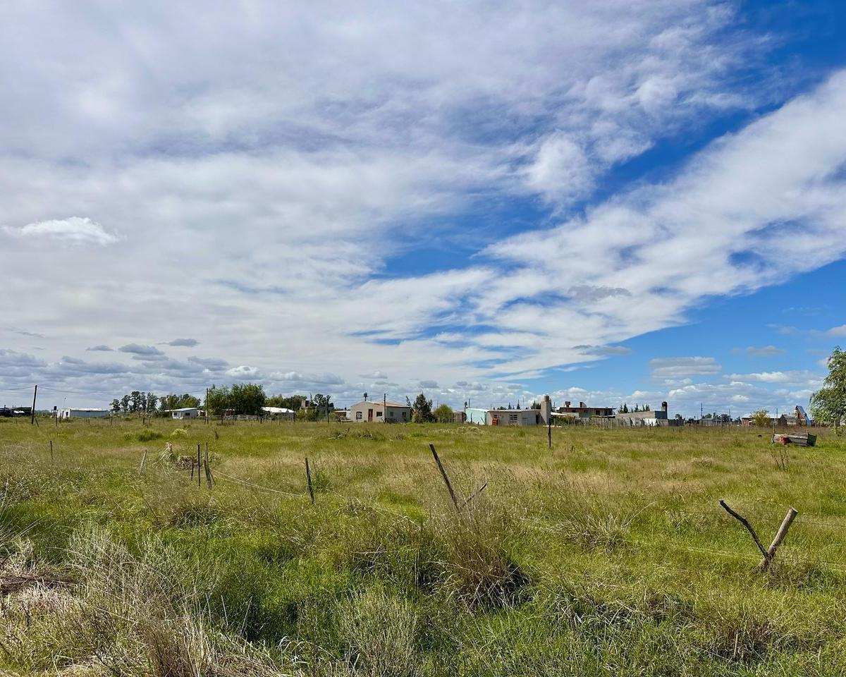 TERRENOS EN VENTA DOMSELAAR