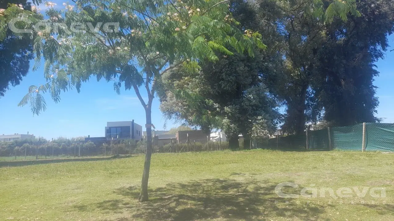 Terreno en San Ramon 5