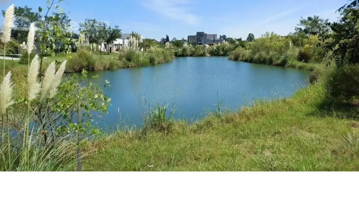 Terreno en San Ramon 2
