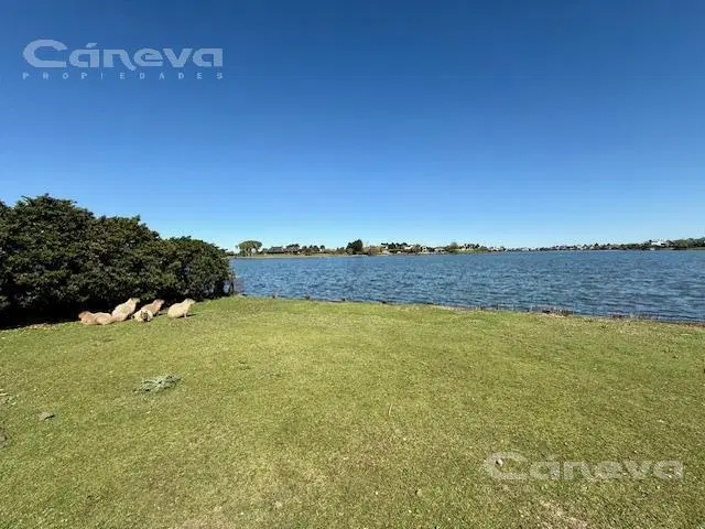 Lote a la laguna central en El Golf Nordelta 1