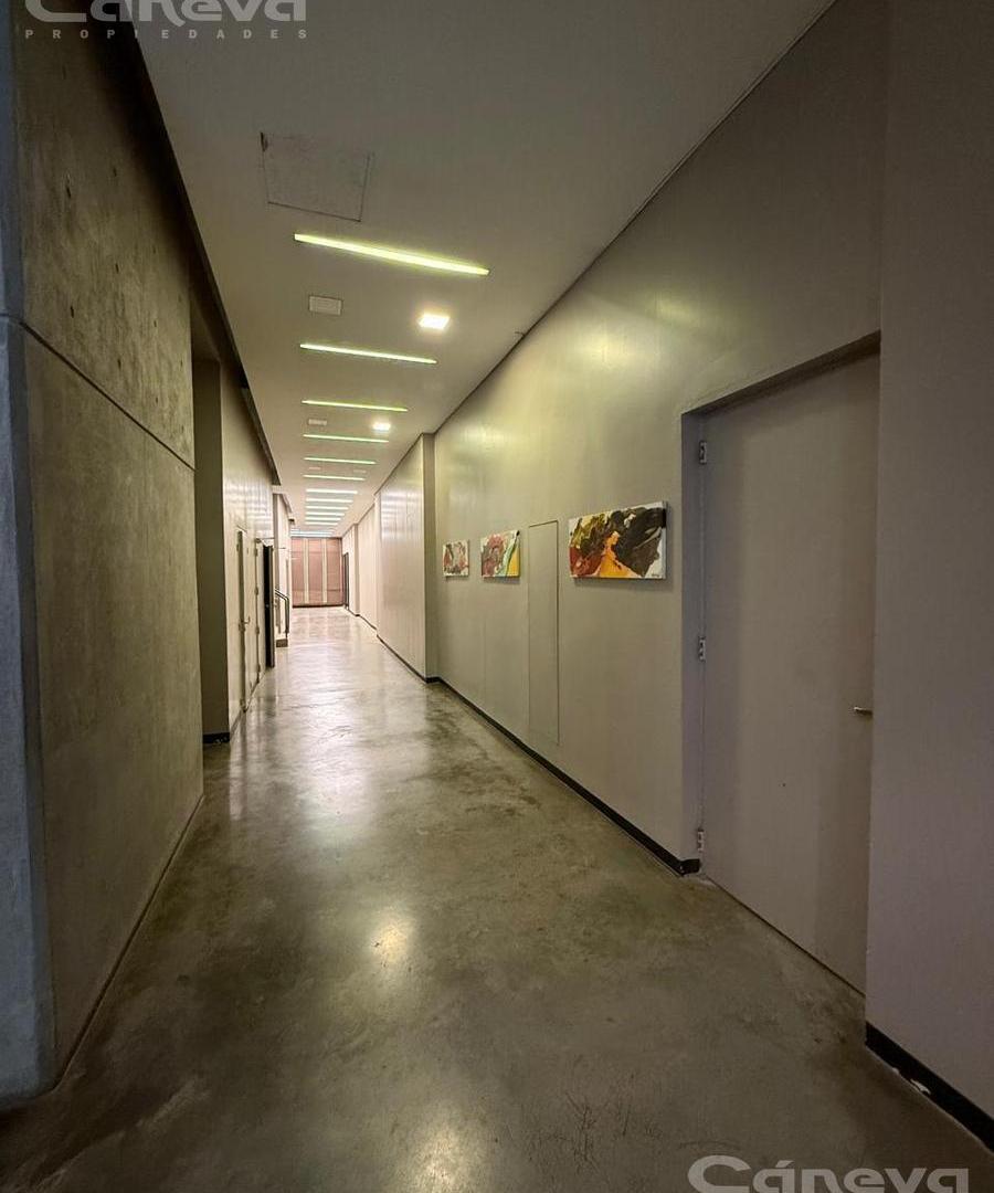 Foto de Departamento 2 ambientes, imagen 3