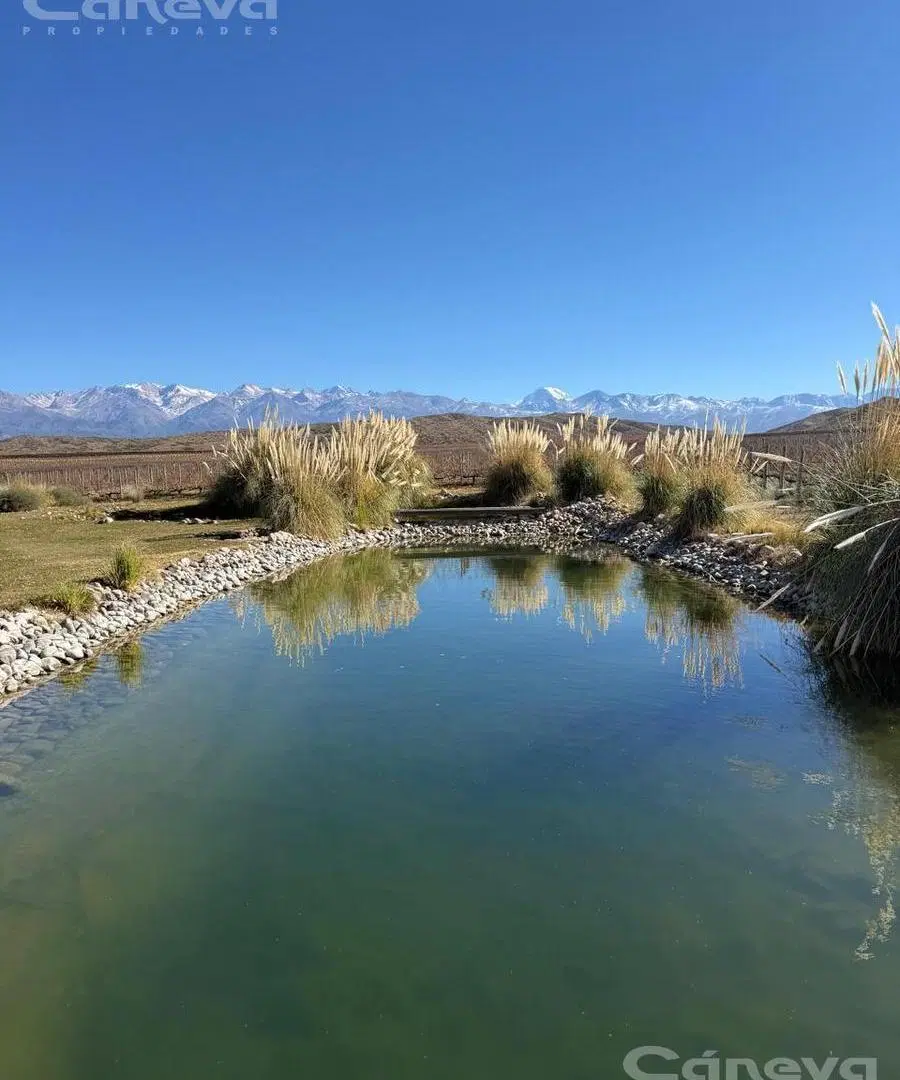 Quinta en Tupungato 4