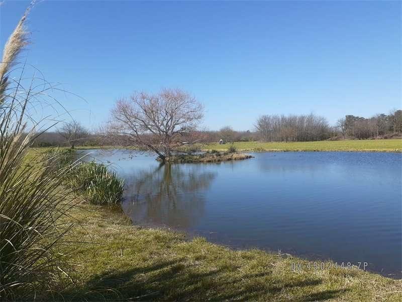 Luján - Campo Venta Usd 780.000 5