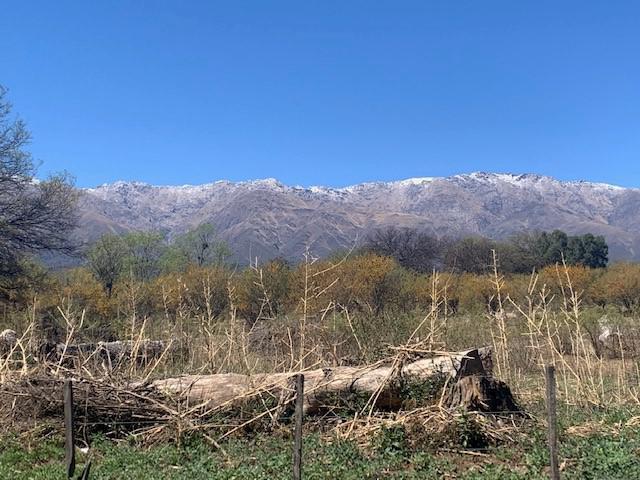 Terreno - Villa de Las Rosas 3