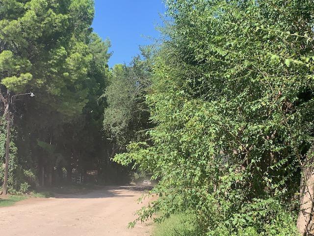 Terreno - Villa de Las Rosas 4