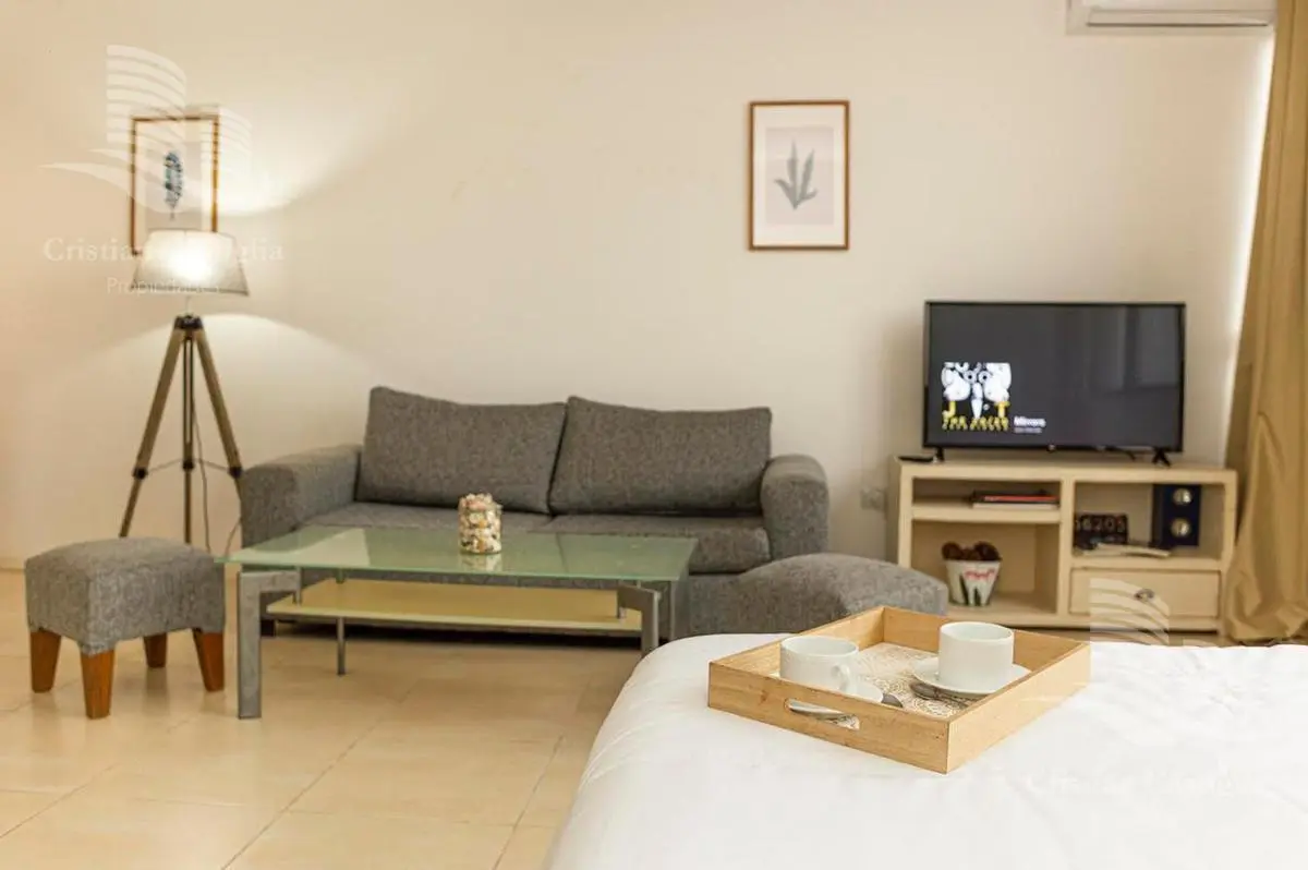 Venta y Alquiler - Departamento Monoambiente - Estudios de la Bahia, Bahia Grande, Nordelta 2