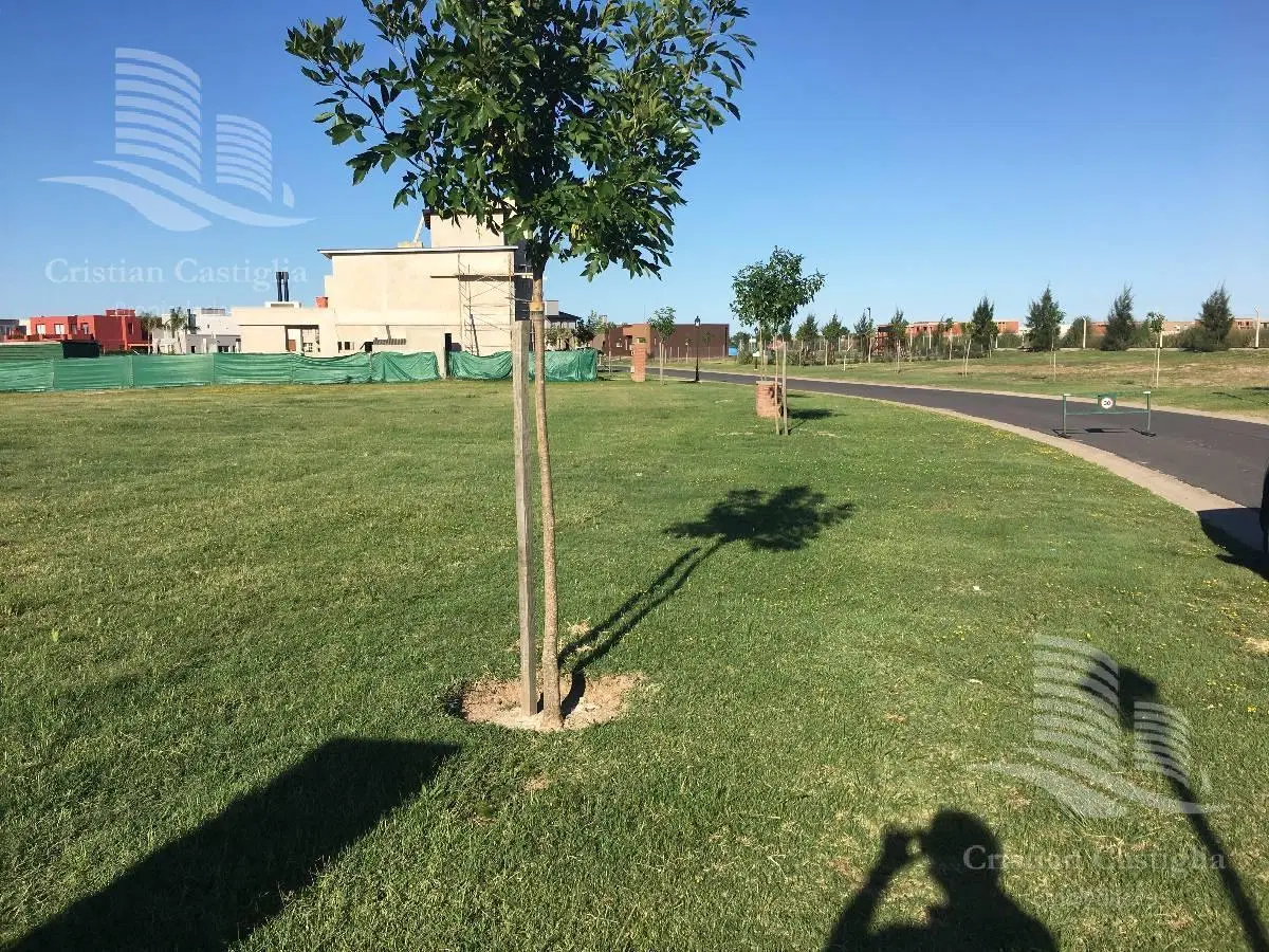 Venta - Terreno a la Laguna - San Gabriel, Villanueva, Tigre 5