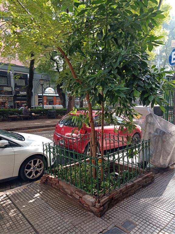 Foto de DEPARTAMENTO 2 AMBIENTES - LAS CAÑITAS, CAPITAL FEDERAL, imagen 4