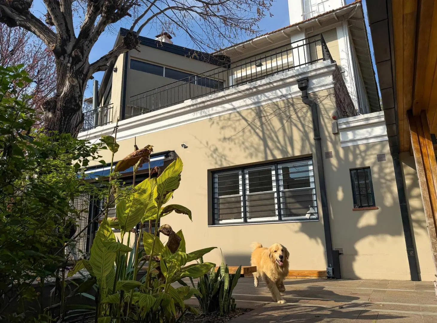 Casa en Venta, Con Jardín, Pileta y Cochera para dos autos - Olivos, Vicente López 5