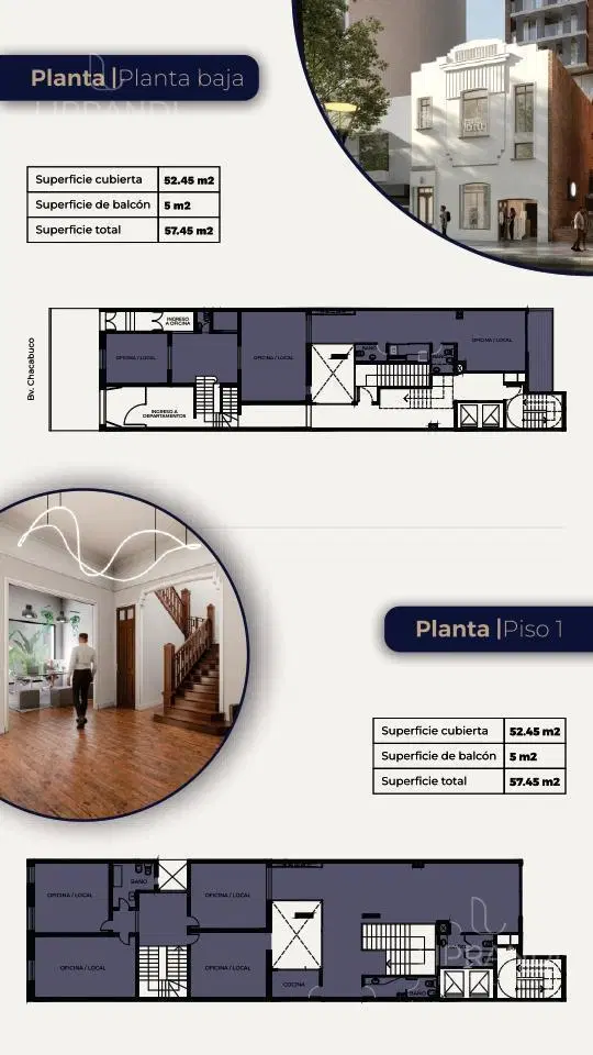 Plano 6