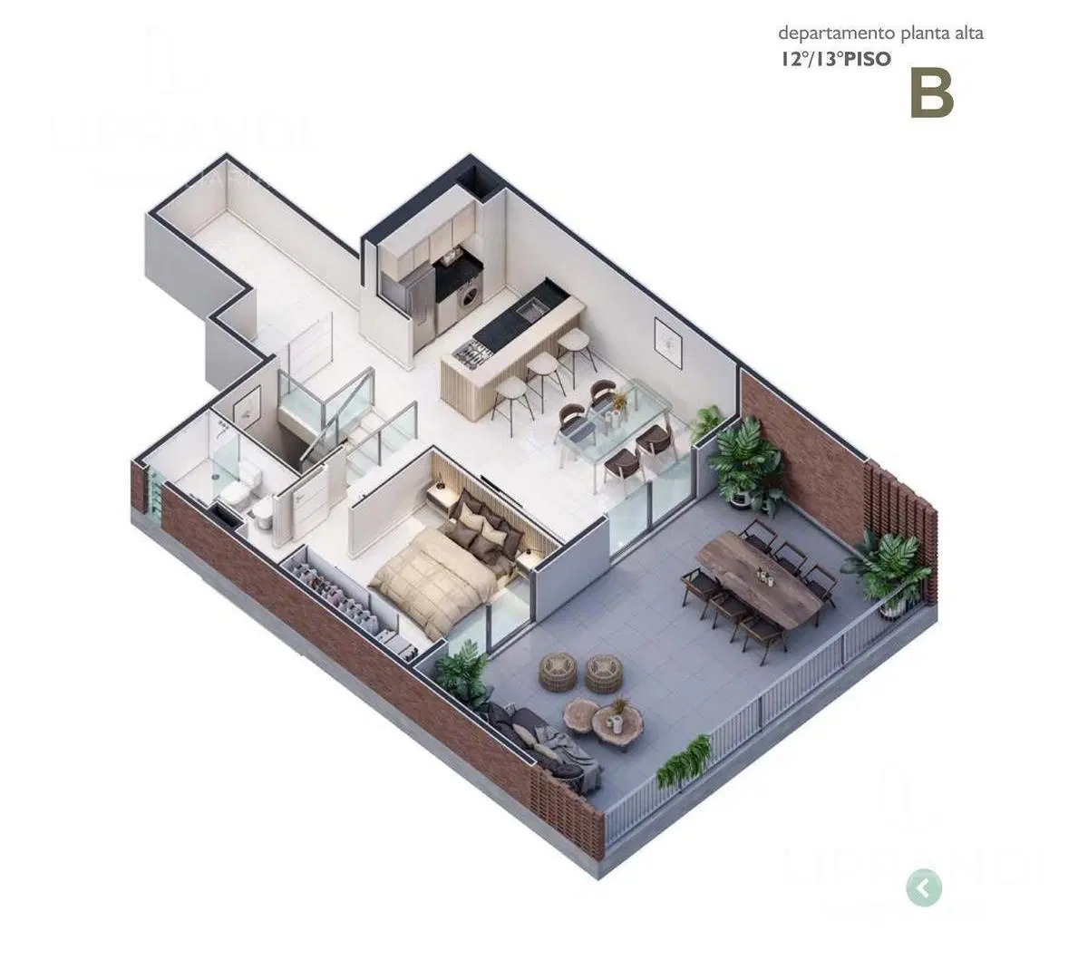 Plano 8