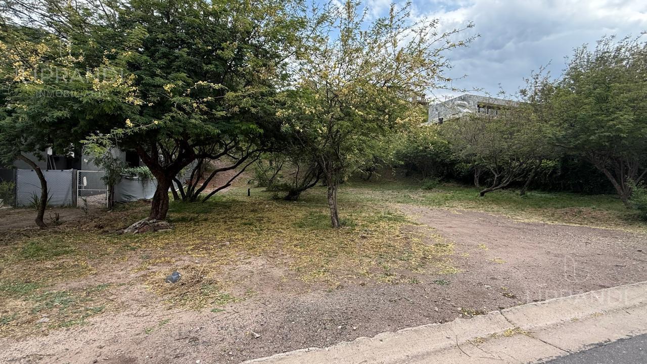 Foto de LOTE CENTRAL - LA PANAKANA - PROXIMO A ESCRITURAR -, imagen 4