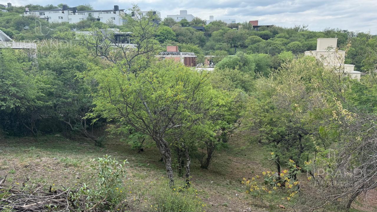 Foto de LOTE CENTRAL - LA PANAKANA - PROXIMO A ESCRITURAR -, imagen 2
