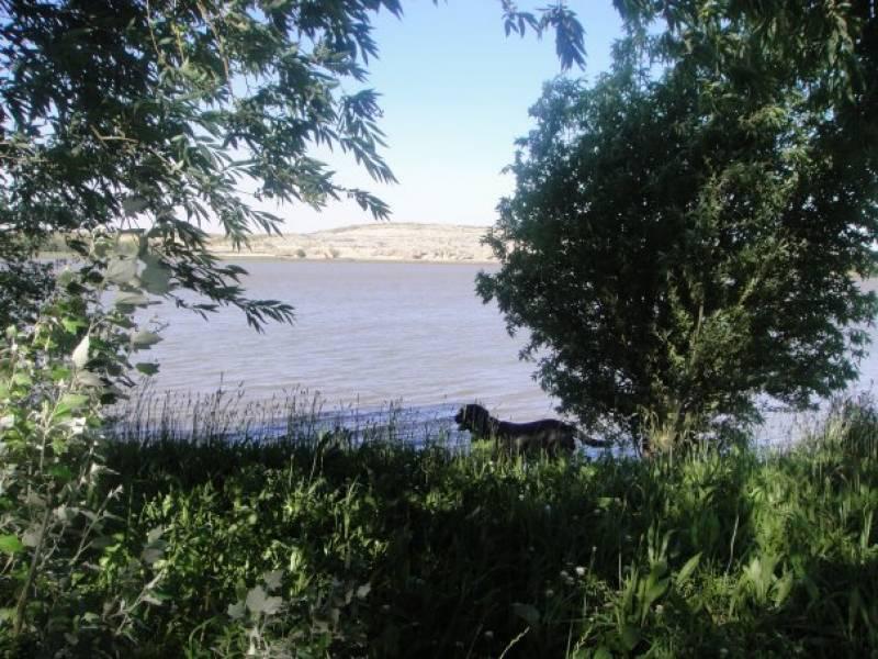 Rio Negro, Ruta 1. Chacra Los Labradores 1