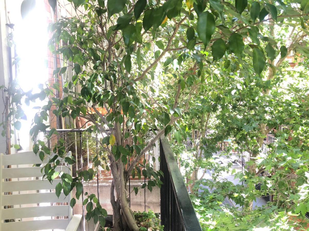 Departamento - Belgrano Barrancas 3