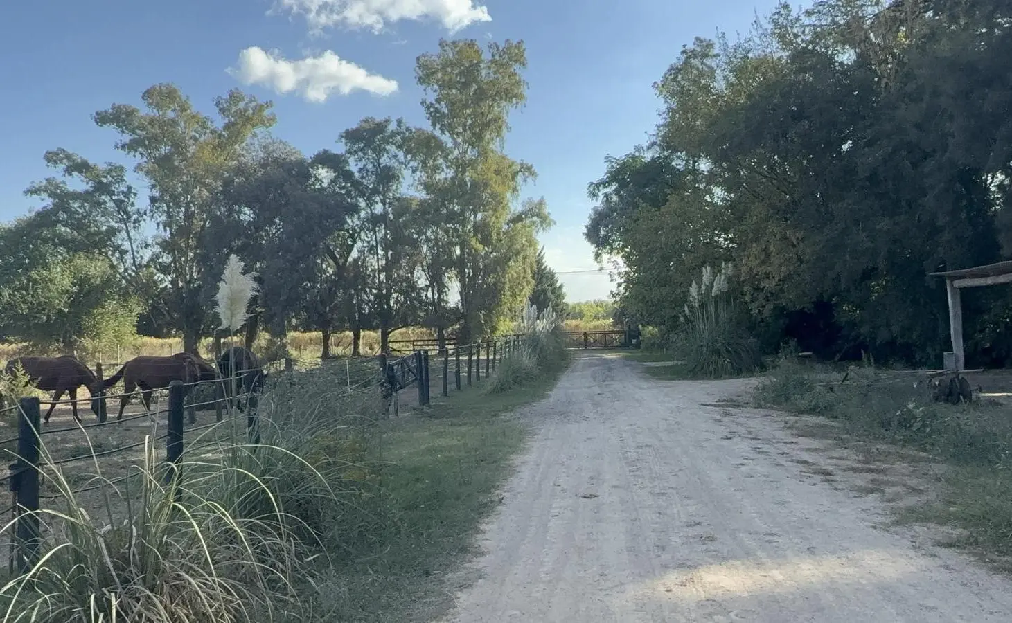 Chacra en alquiler en ruta 28 alt. km 6, Pilar, Provincia de Buenos Aires 5