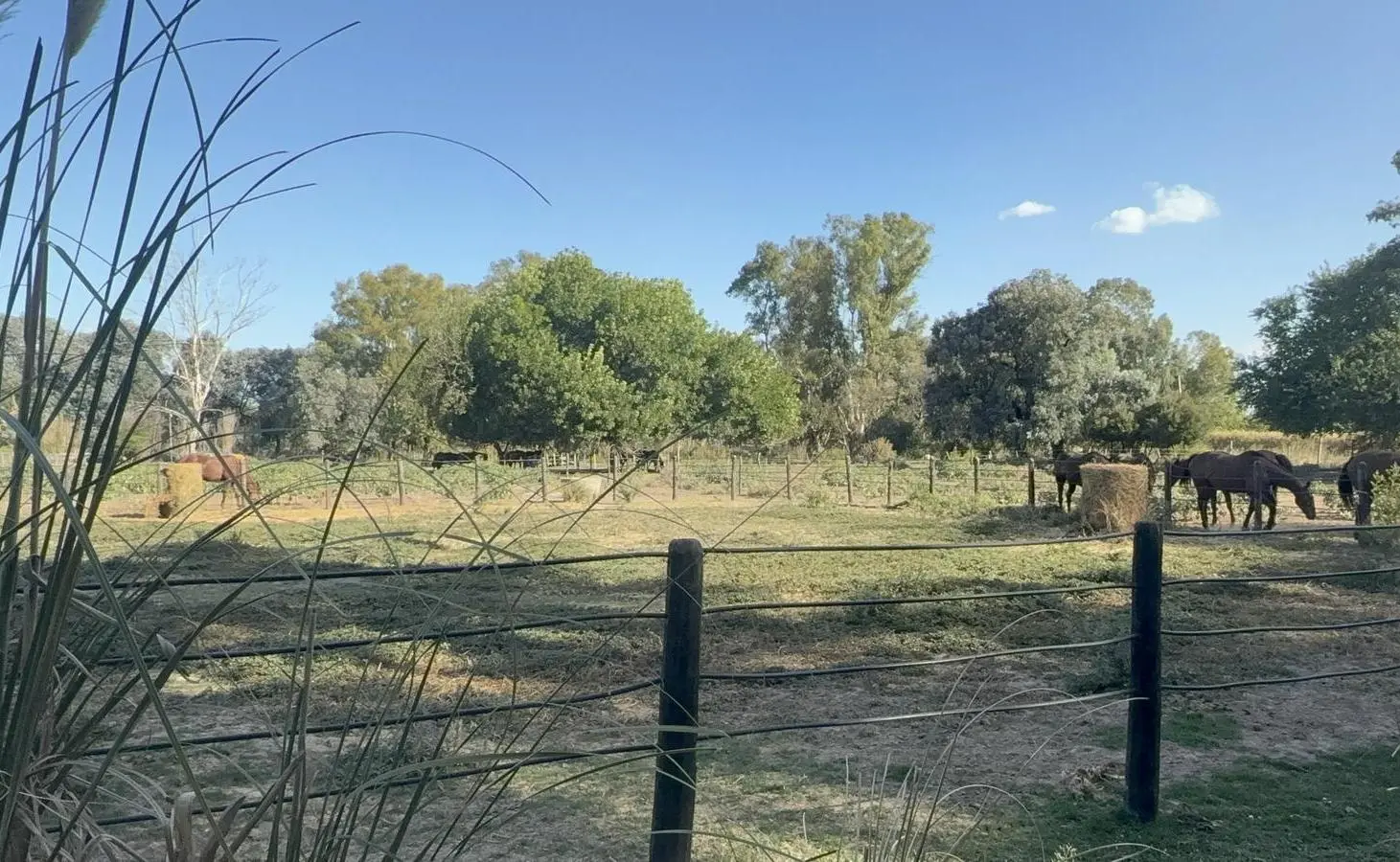 Chacra en alquiler en ruta 28 alt. km 6, Pilar, Provincia de Buenos Aires 4