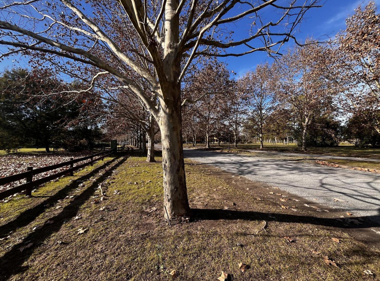 Foto de Terreno en venta en chcras de la cruz, imagen 2
