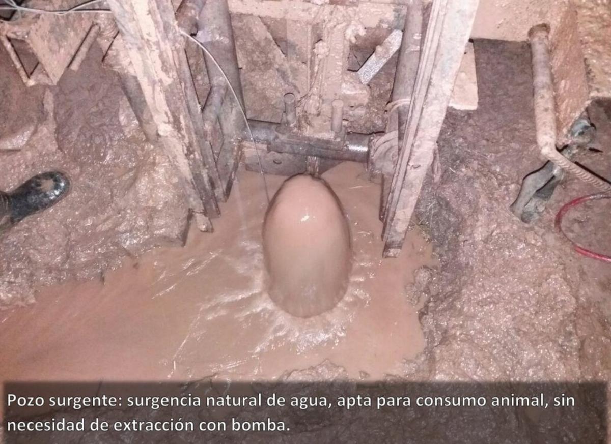 Foto de En venta campo en Clodomira - La Banda - Santiago del Estero, imagen 5