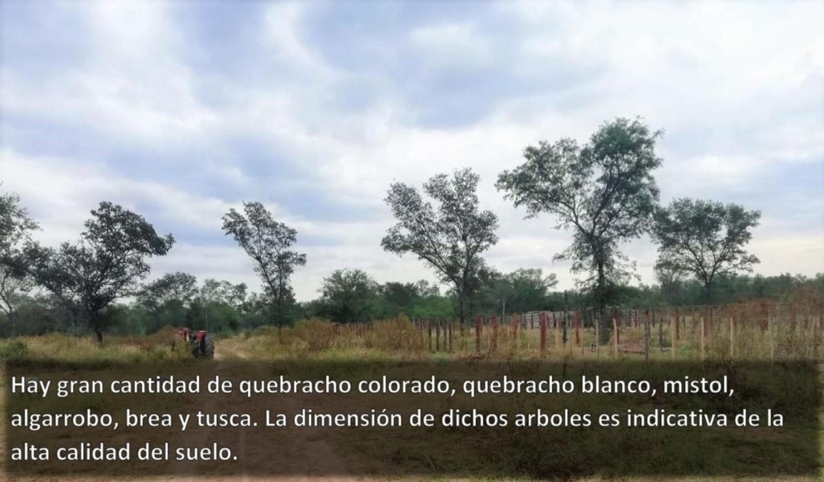 Foto de En venta campo en Clodomira - La Banda - Santiago del Estero, imagen 4