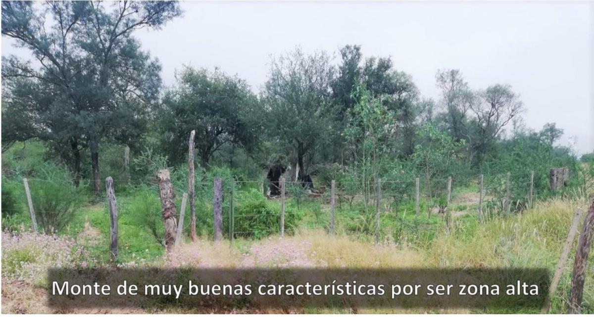 Foto de En venta campo en Clodomira - La Banda - Santiago del Estero, imagen 3