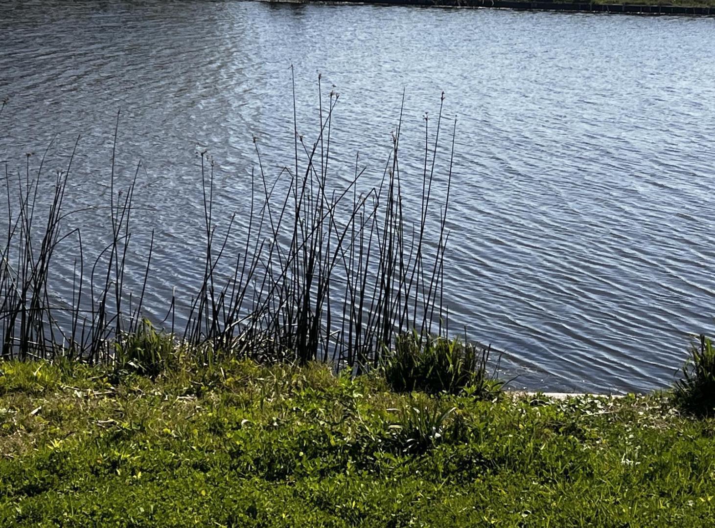 Foto de Terreno en Amarras II, imagen 2