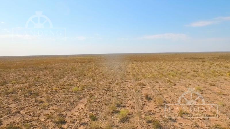Campo en Venta - Finca Productiva en Mendoza 2