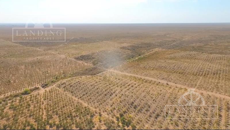 Campo en Venta - Finca Productiva en Mendoza 3