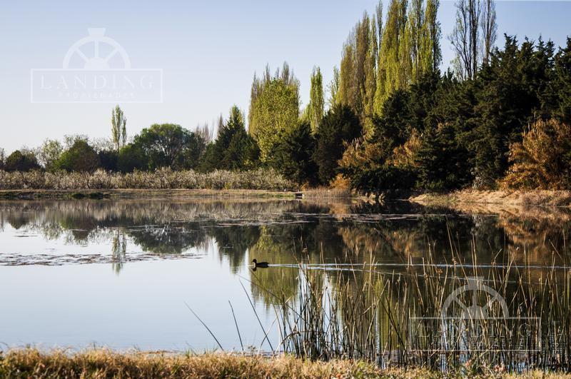 Finca Productiva en Venta en Mendoza, 60 Has Cultivos Intensivos 5