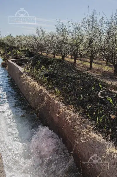 Campo - Finca Productiva de primer nivel, sobre Ruta 7, Mendoza, 24 has 4