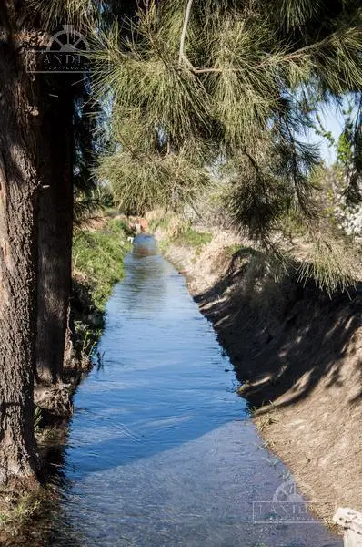 Campo - Finca Productiva de primer nivel, sobre Ruta 7, Mendoza, 24 has 5