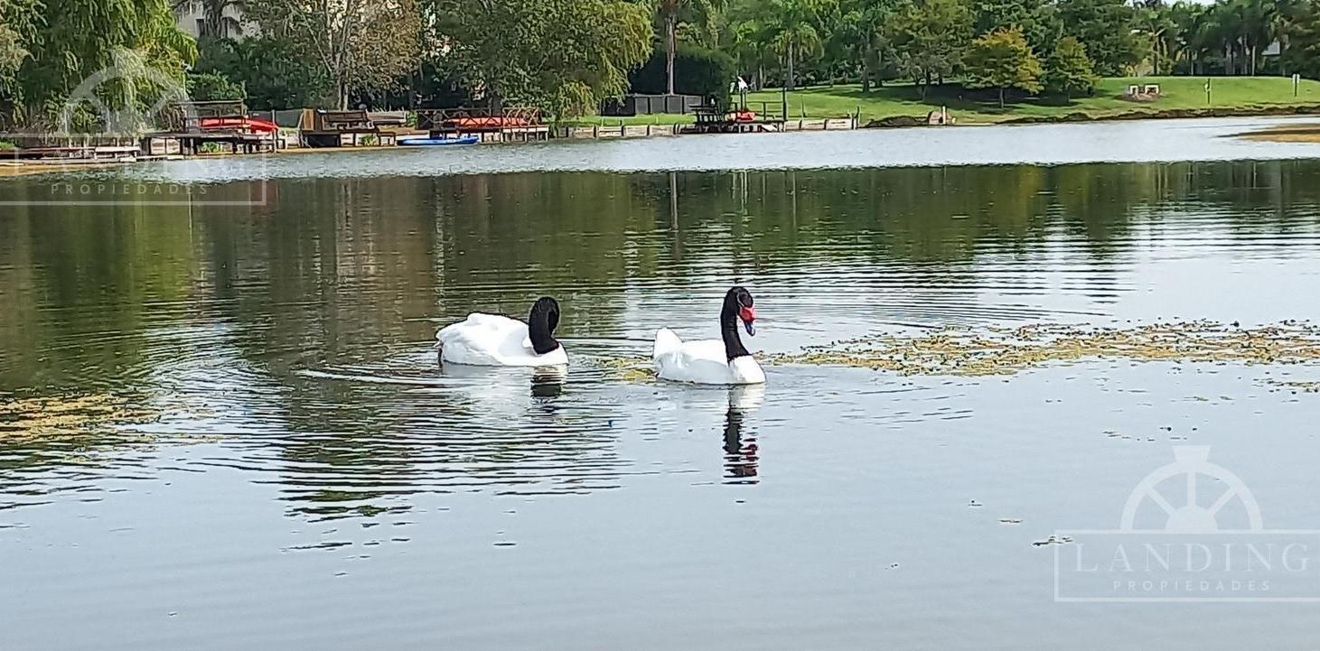 Foto de Casa a la laguna en San Marco Villanueva, imagen 1