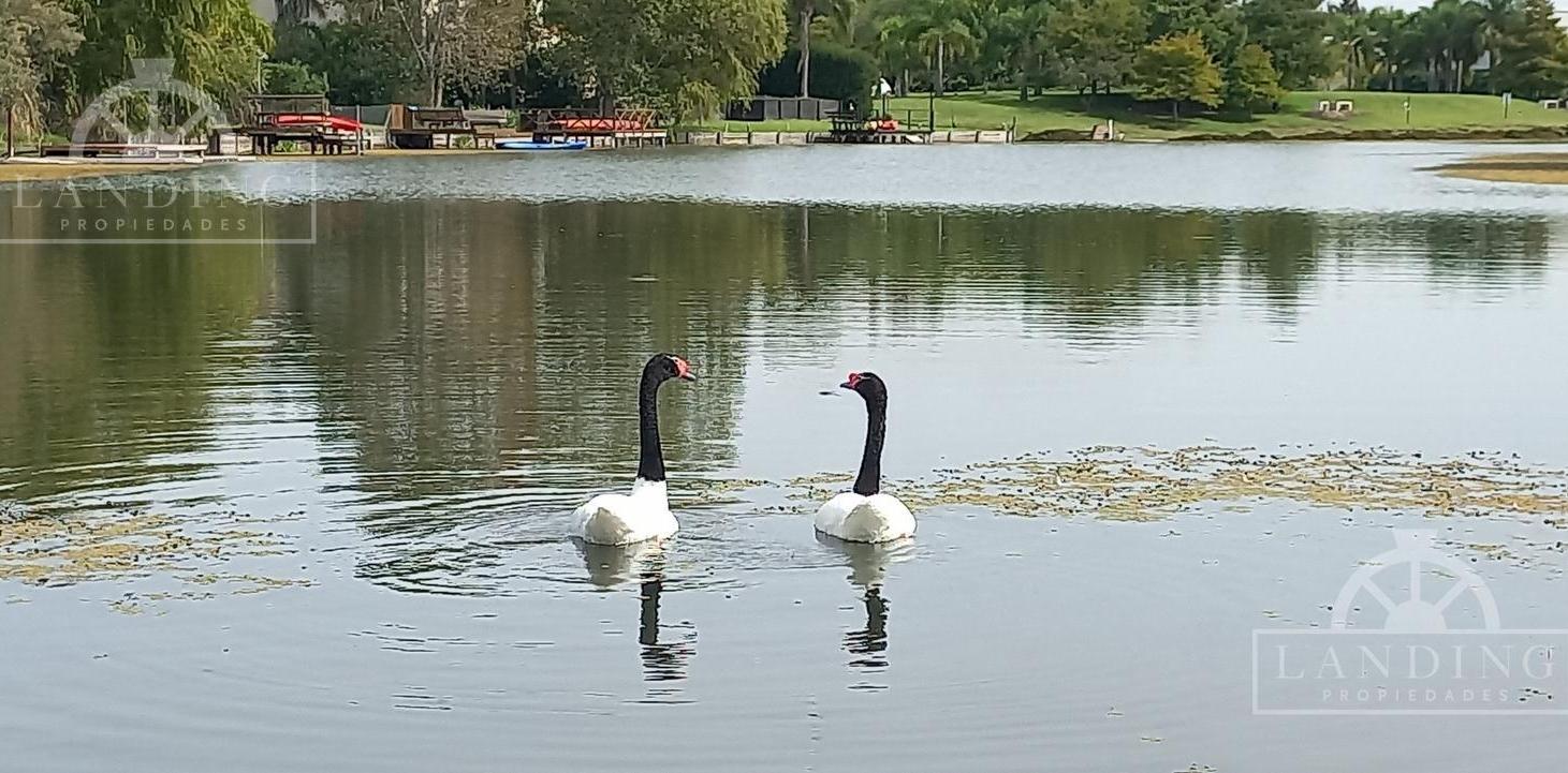 Foto de Casa a la laguna en San Marco Villanueva, imagen 3