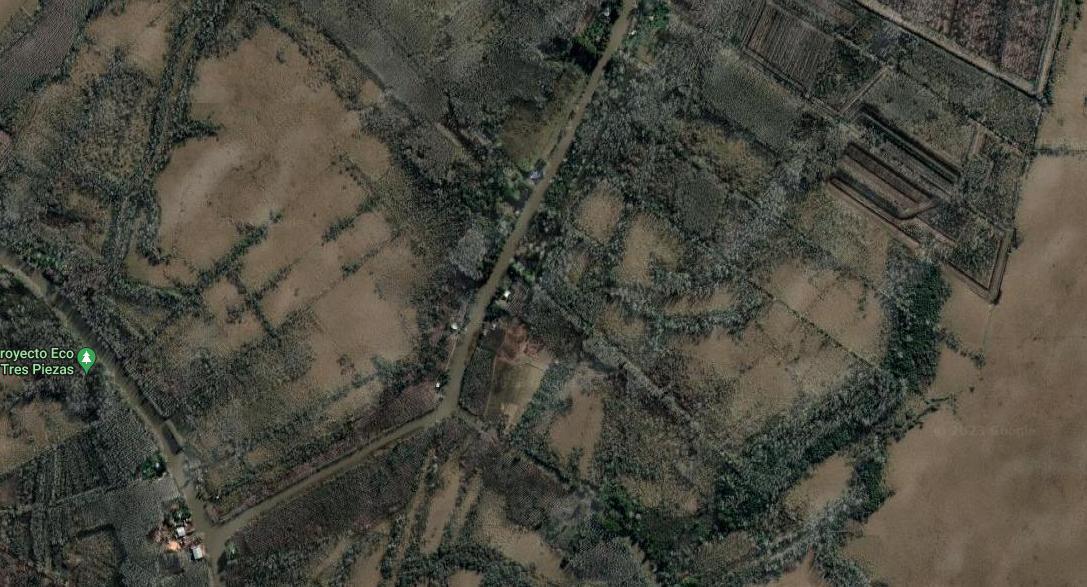 Hermoso Lote de 9 Ha de Isla en El Delta del Parana 3