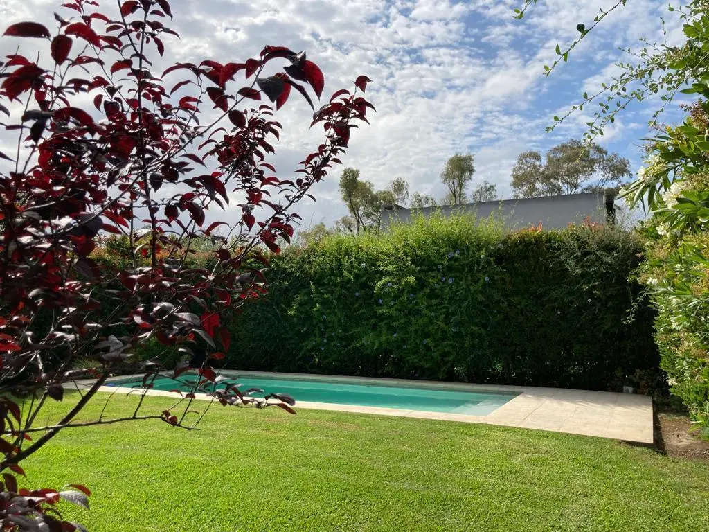 Casa - La Damasia 8