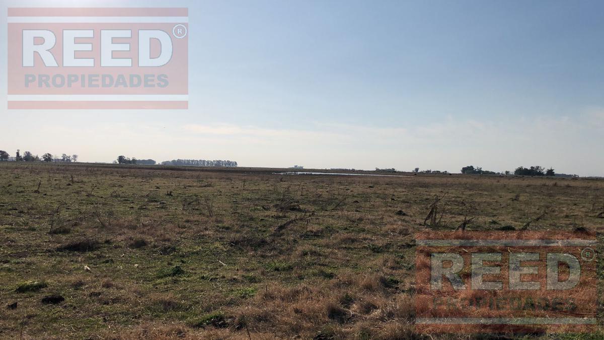 Campo - Saladillo 3