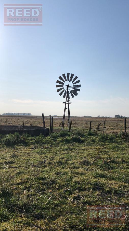 Campo - Saladillo 1