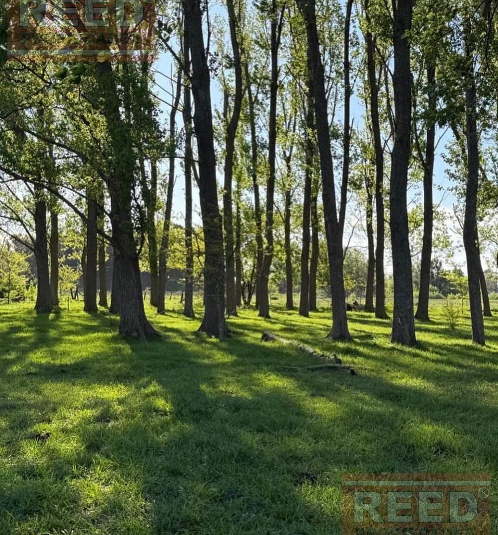 Foto de Campo en Saladillo, imagen 5