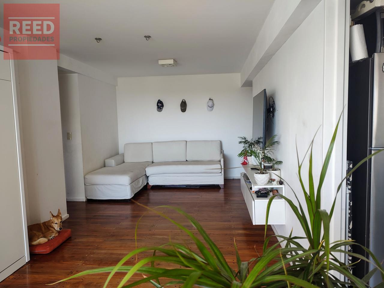 Foto de Departamento en Beccar, imagen 1