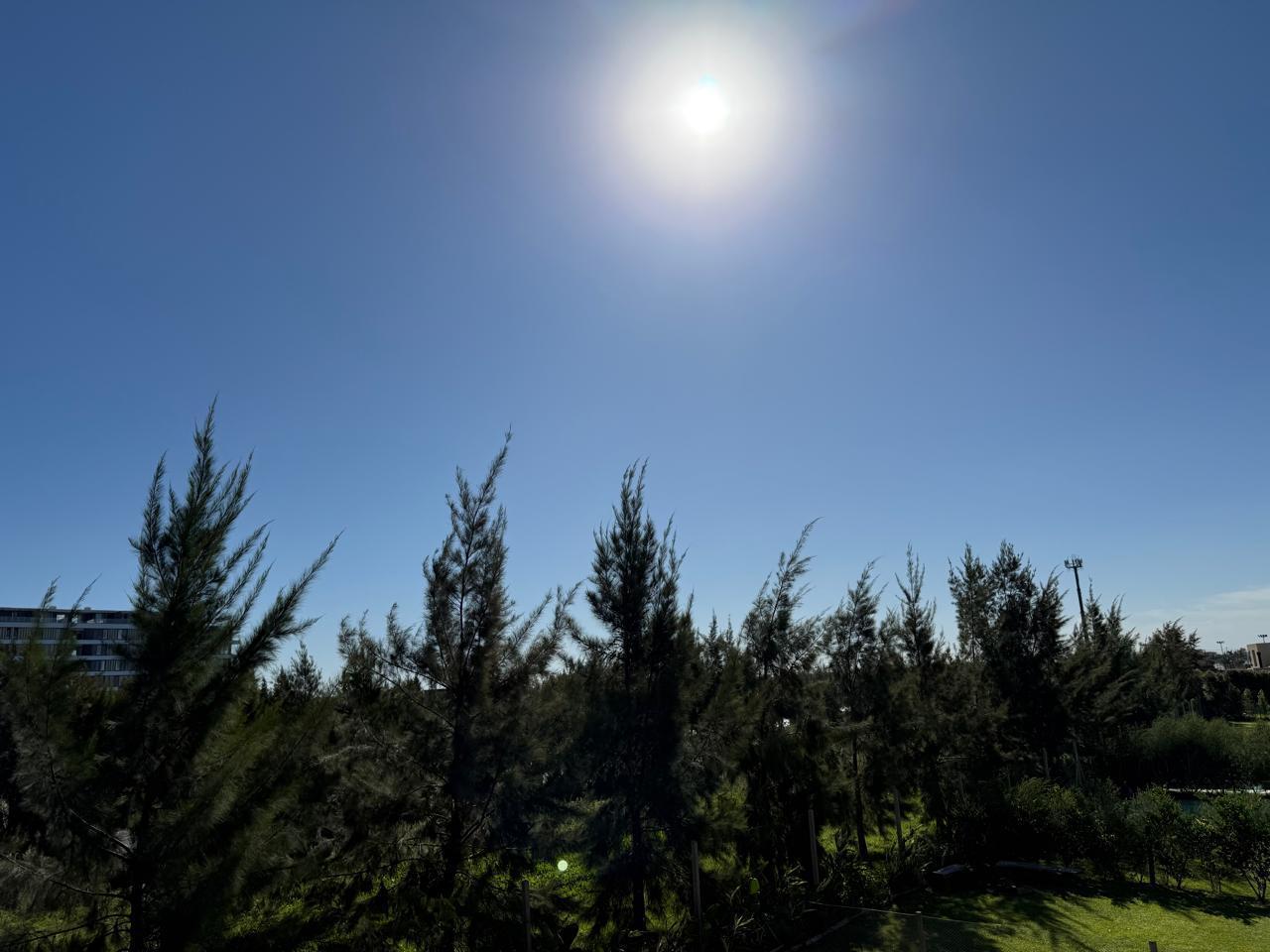 LOTE AL ARROYO EN CARPINCHOS – NORDELTA