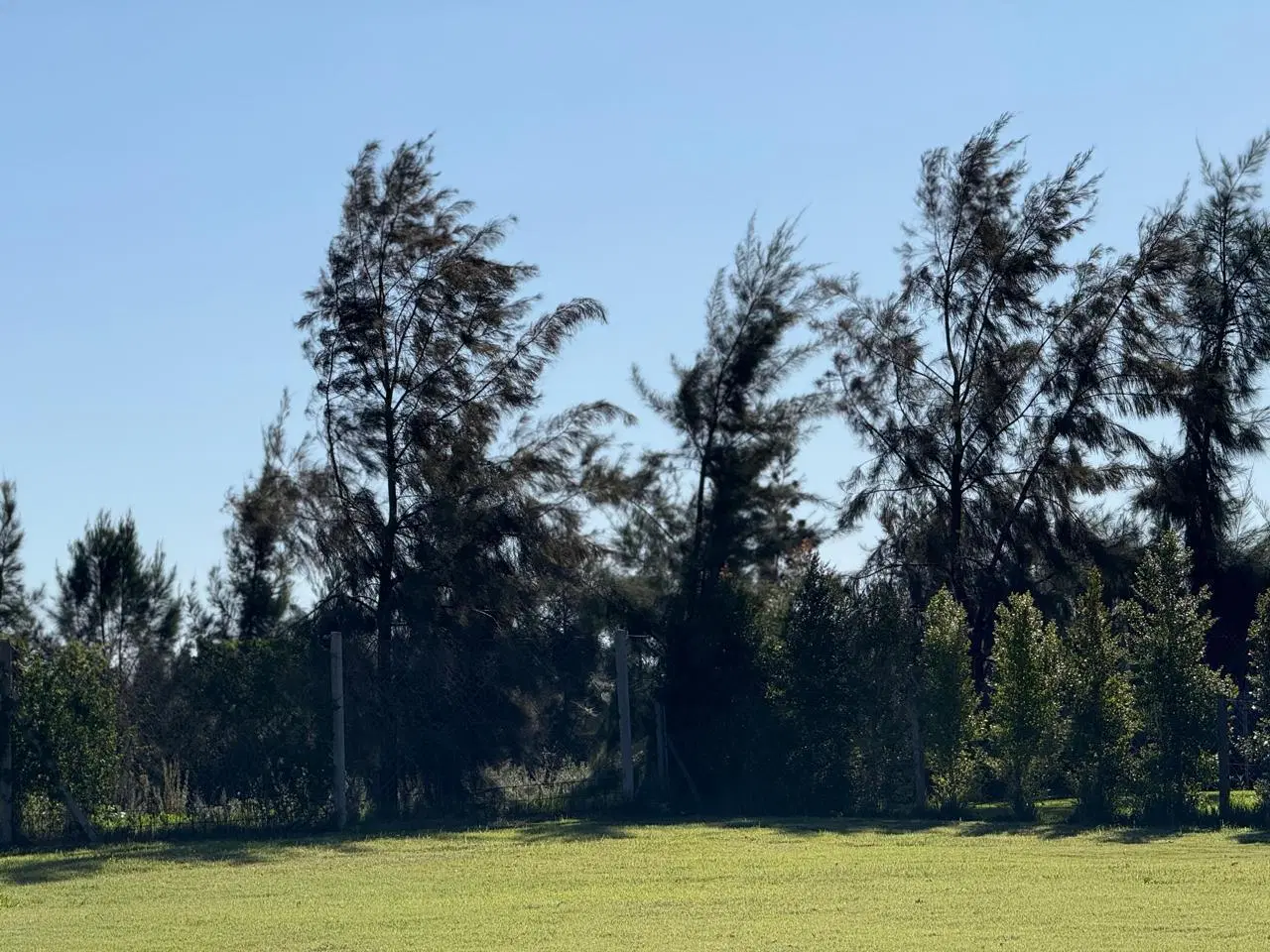 LOTE AL ARROYO EN CARPINCHOS – NORDELTA 4