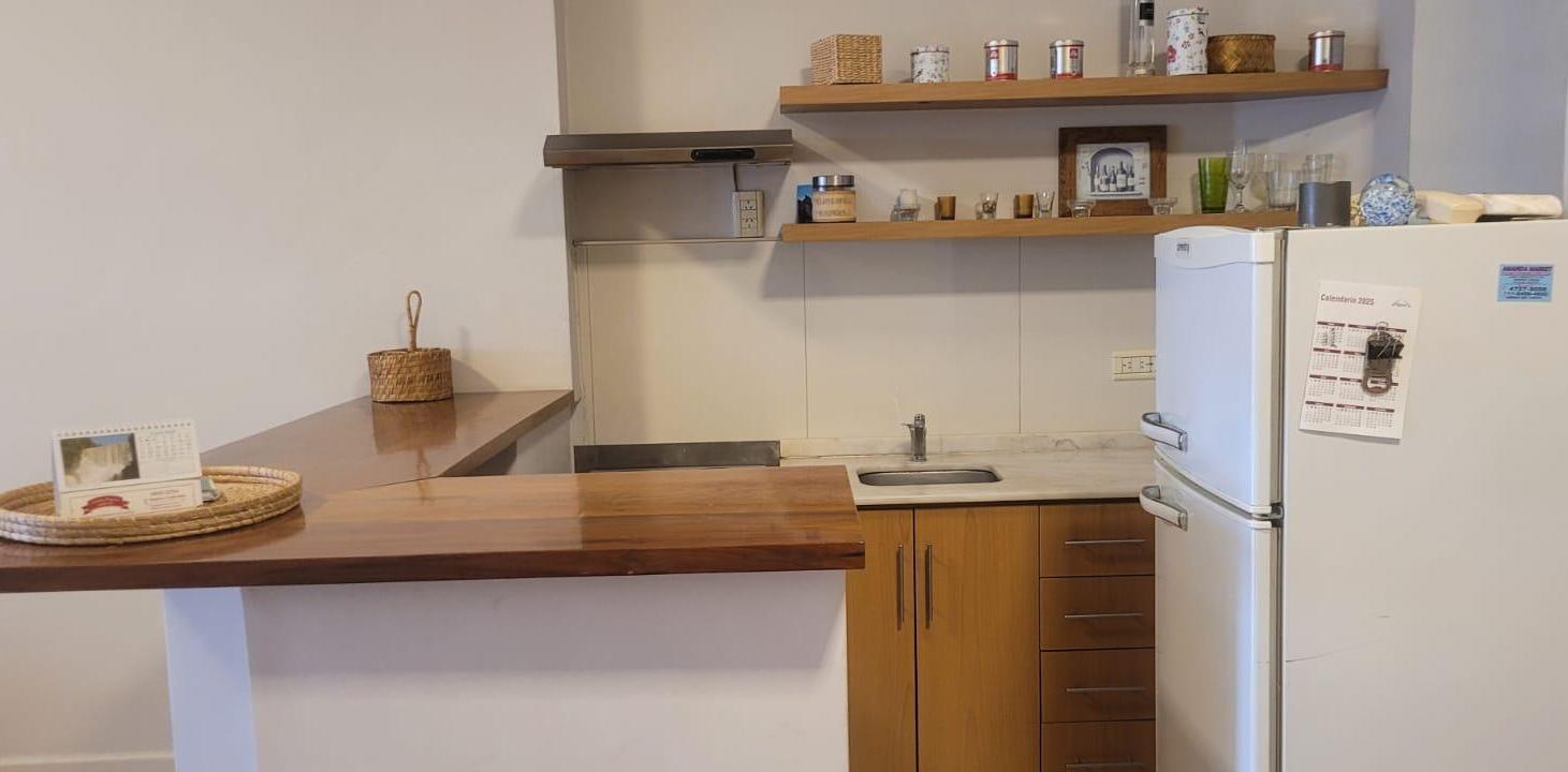 Foto de Departamento en Recoleta, imagen 5