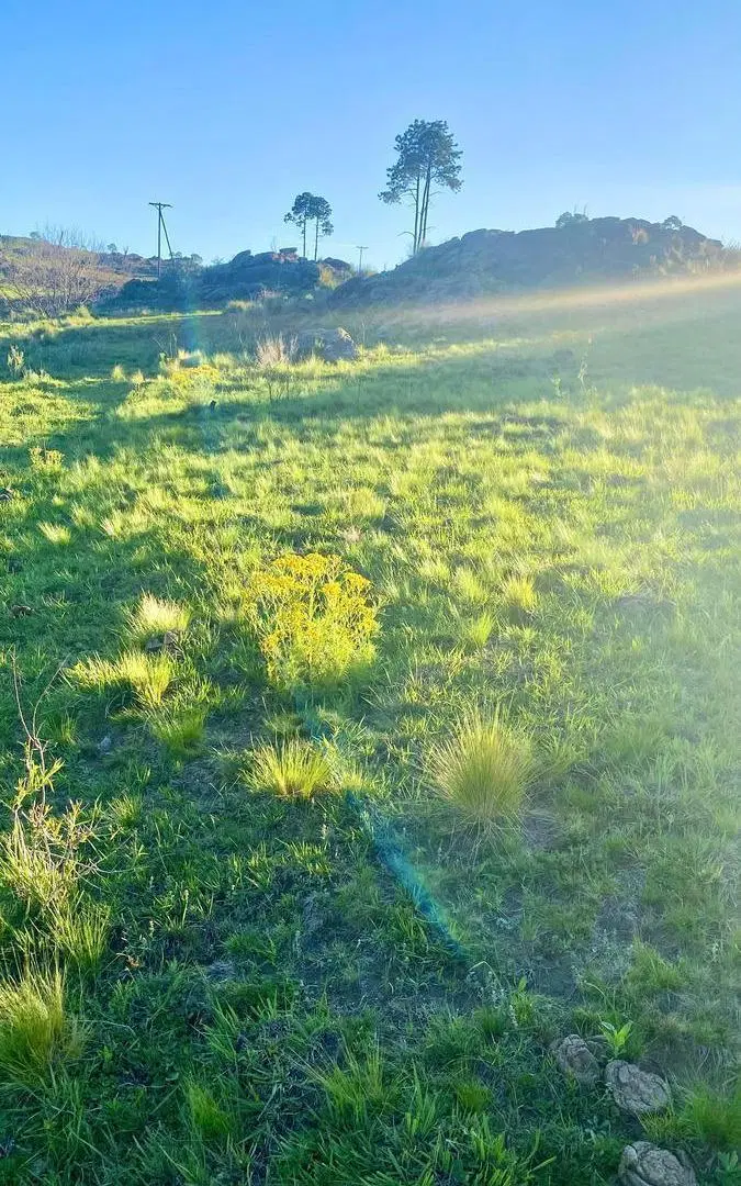 Terreno en Venta de 27.000m2 en Villa Yacanto, Córdoba 3