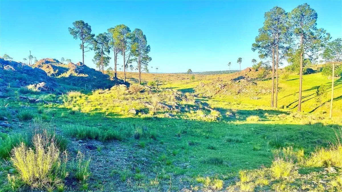 Terreno en Venta de 27.000m2 en Villa Yacanto, Córdoba 1