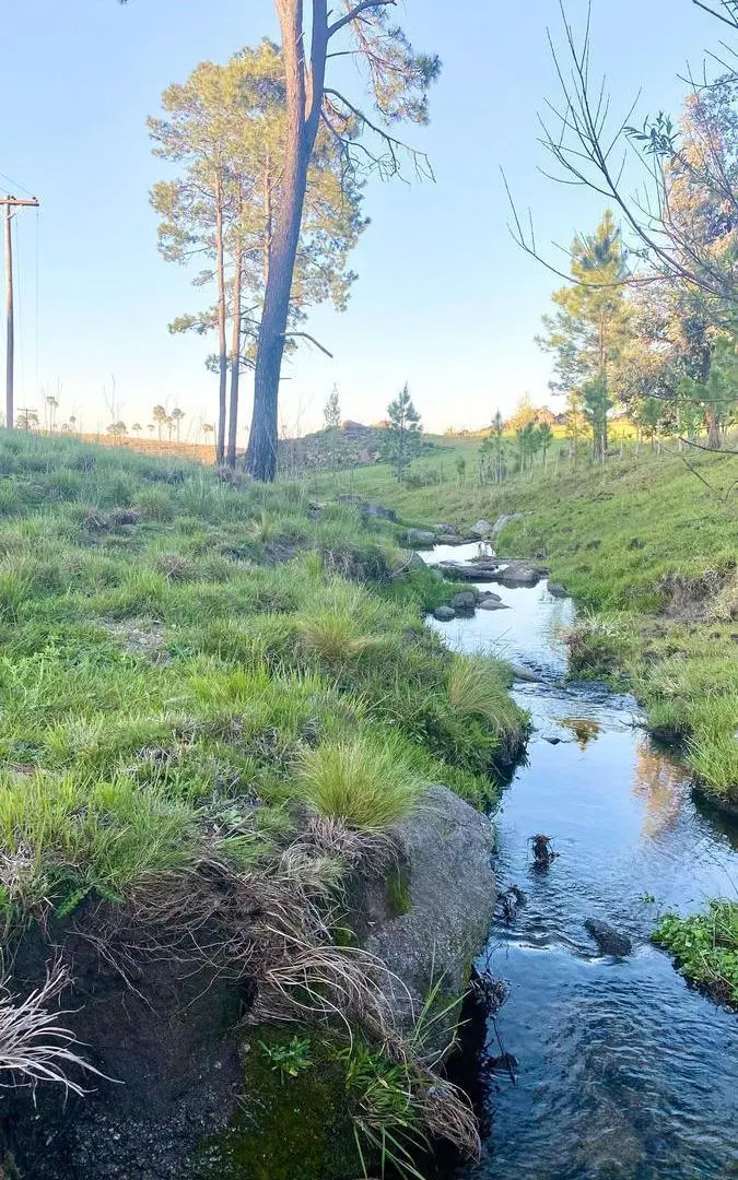 Terreno en Venta de 27.000m2 en Villa Yacanto, Córdoba 5