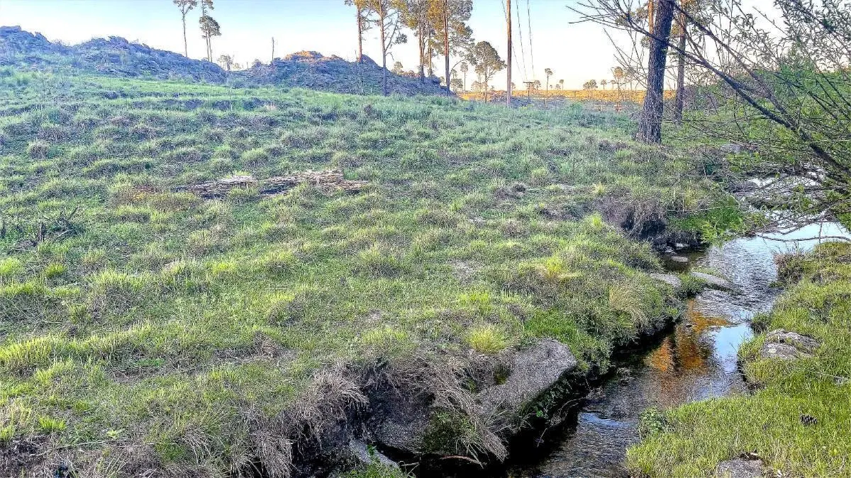 Terreno en Venta de 27.000m2 en Villa Yacanto, Córdoba 4